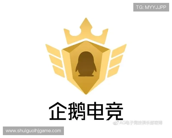 ag电子游戏大厅的客户服务体系全面升级为玩家提供贴心支持