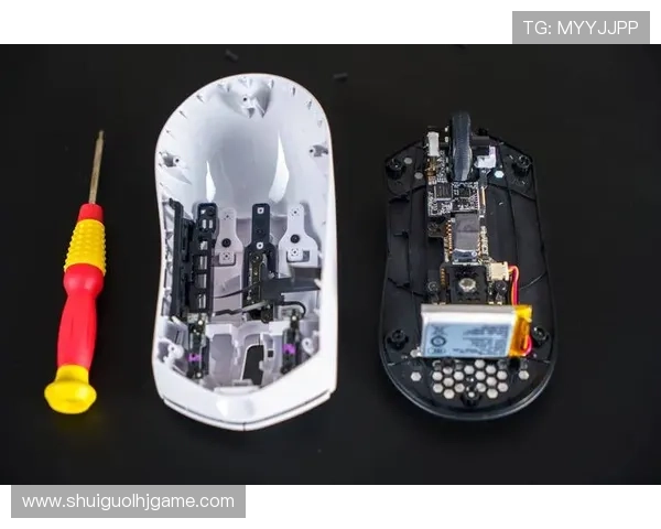 tg电竞鼠标的维护与保养方法延长使用寿命