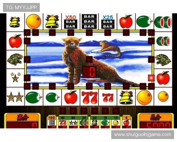 电子老虎机小平台客服支持，全天在线解答你的各种疑问