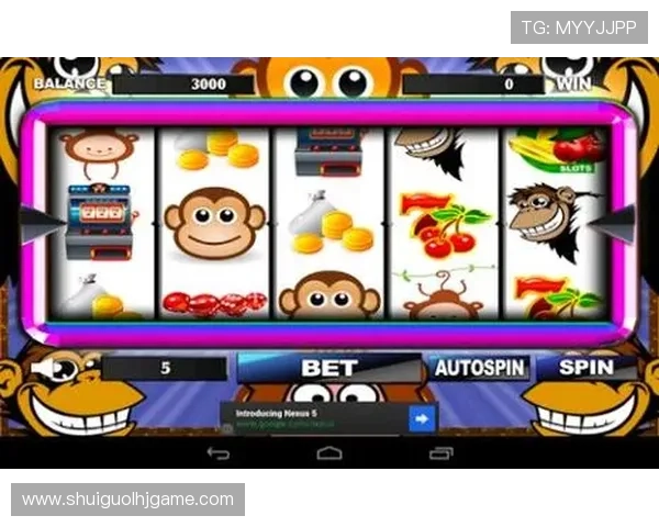 老虎机真人平台app安全可靠，玩家可以放心体验多样化游戏乐趣