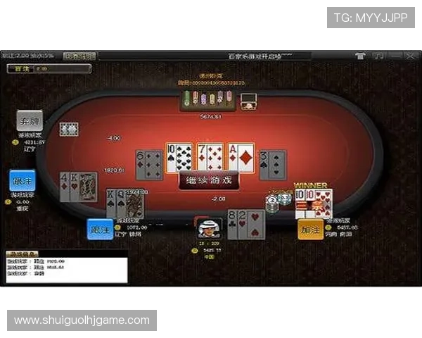 老虎机线路图接法常见问题解析，帮助玩家避免接线错误影响游戏体验