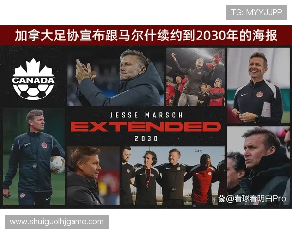 加拿大对波黑比赛伤病新闻对双方战术布置和比赛走势的深度解析